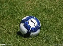 年河北体育,馆青少年网,球积分赛总,Ebpay安全承兑,Ebpay回收销售,Ebpay承兑,Ebpay充值