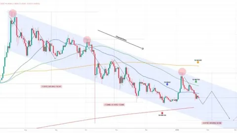 美国证监会重磅推出代币化证券新规解读：代币化证券仍受证券法约束，揭秘数字金融新动向——币界风云录